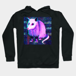 vaporwave Opossum Hoodie